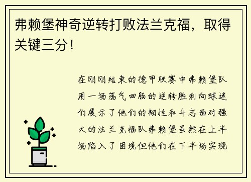 弗赖堡神奇逆转打败法兰克福，取得关键三分！